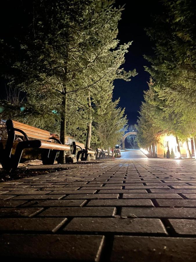 Popasul Lu' Voda Borşa エクステリア 写真